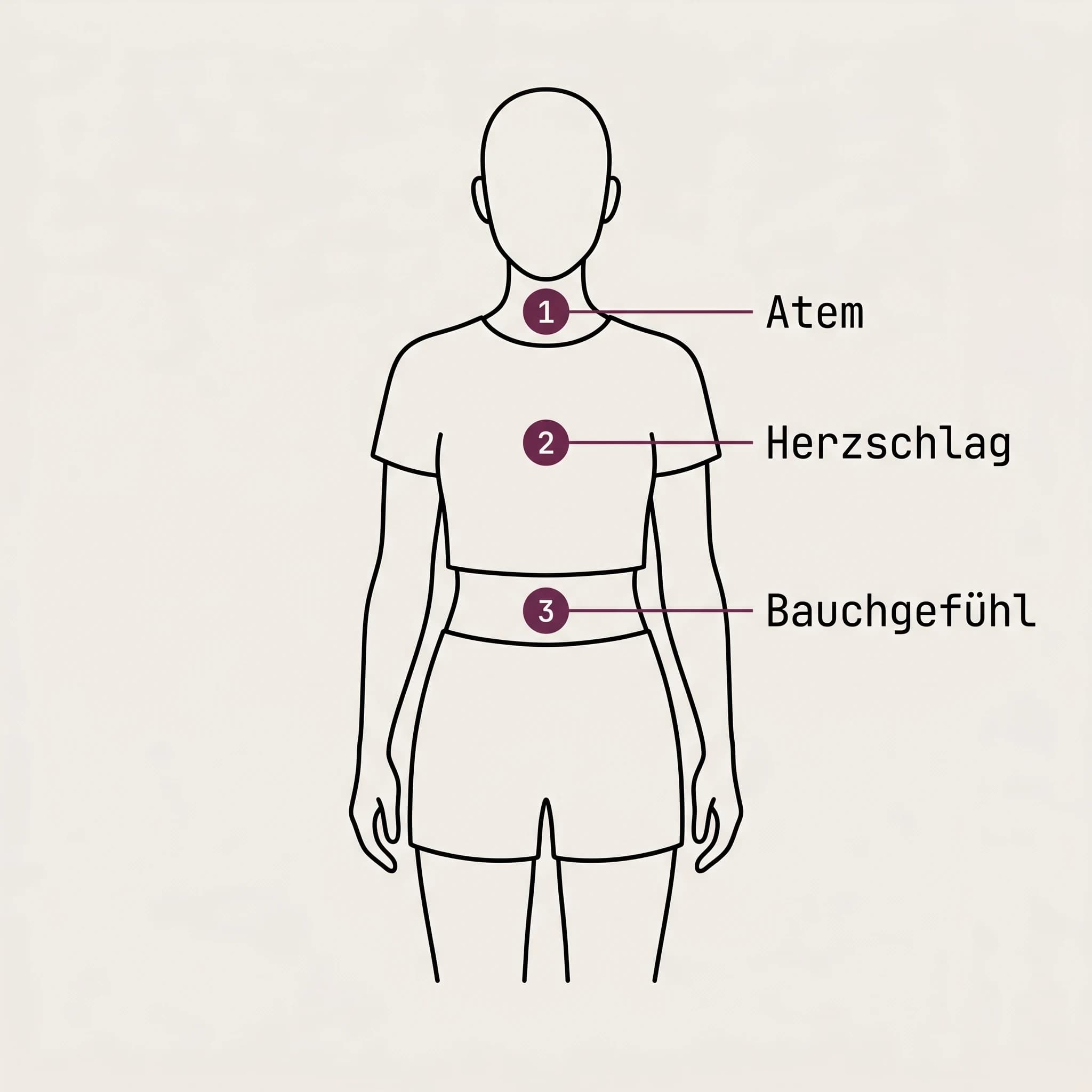 Schematische Körpersilhouette mit drei plumfarbenen Sensorpunkten an Hals, Brust und Bauch, beschriftet mit Atem, Herzschlag und Bauchgefühl