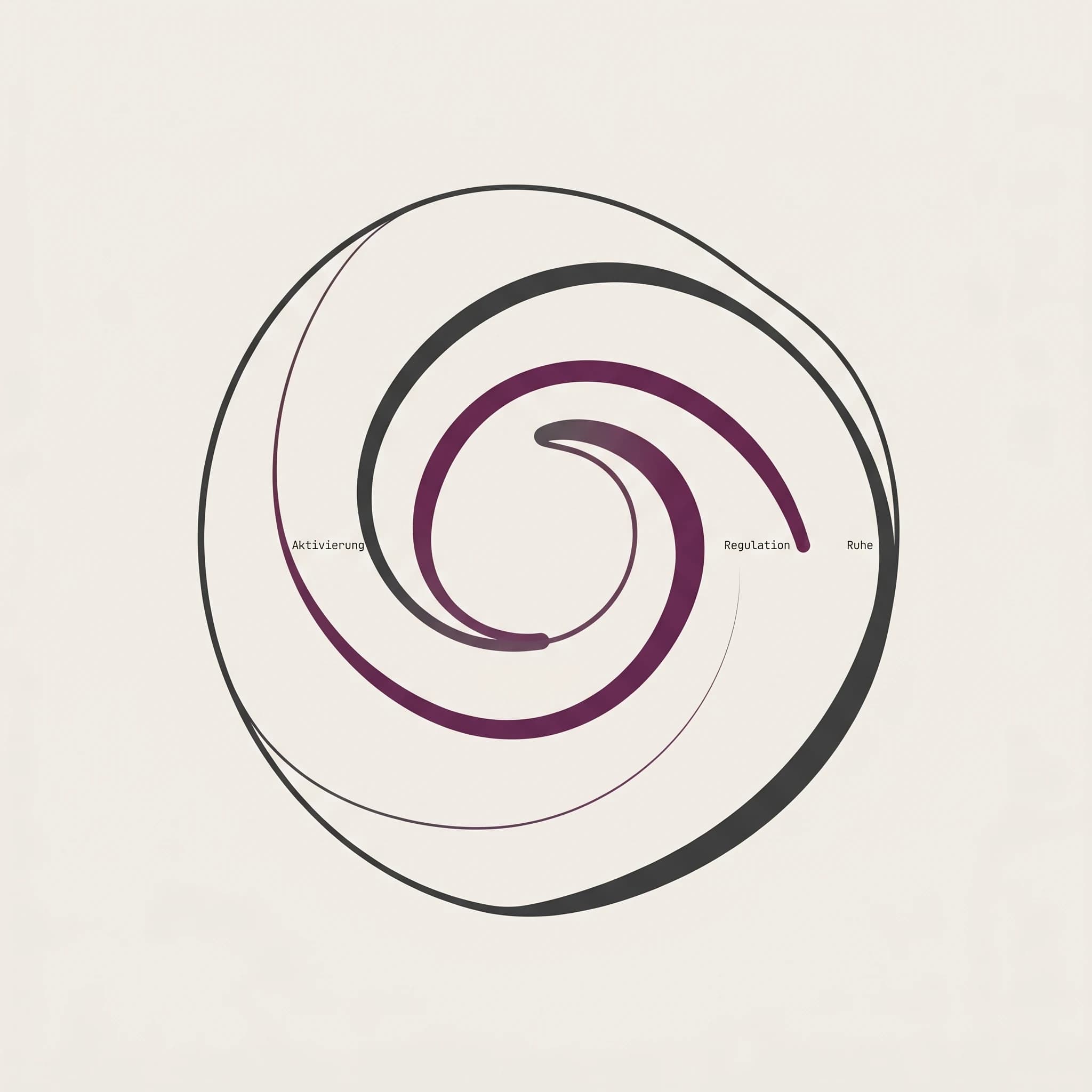 Organische geschlossene Spirale aus schwarzer und plumfarbener Linie, beschriftet mit Aktivierung, Regulation und Ruhe — Symbol für den Selbstregulations-Kreislauf